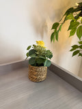 Artificial Eucalyptus Plants