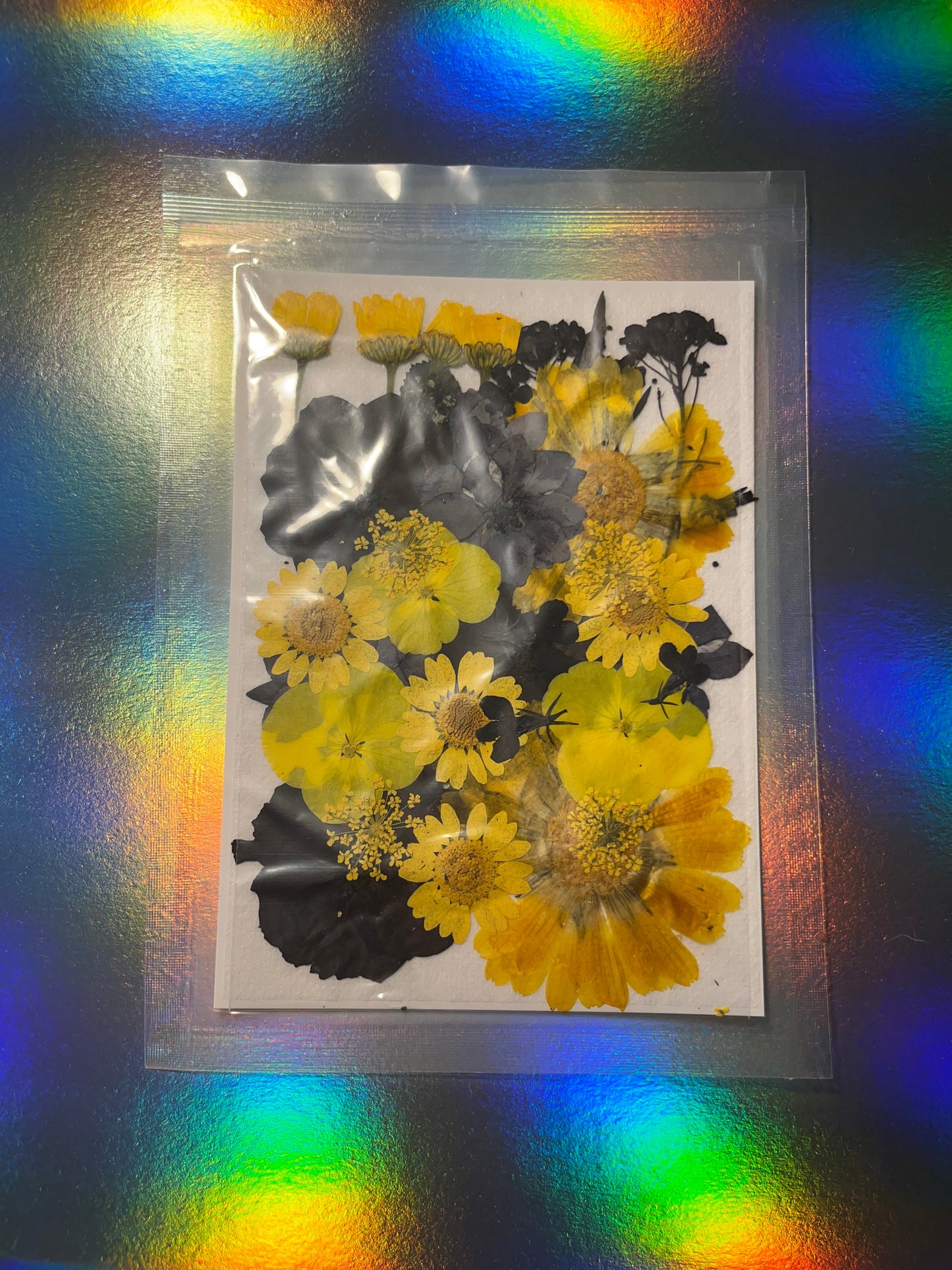 Pressed and Dried Flowers