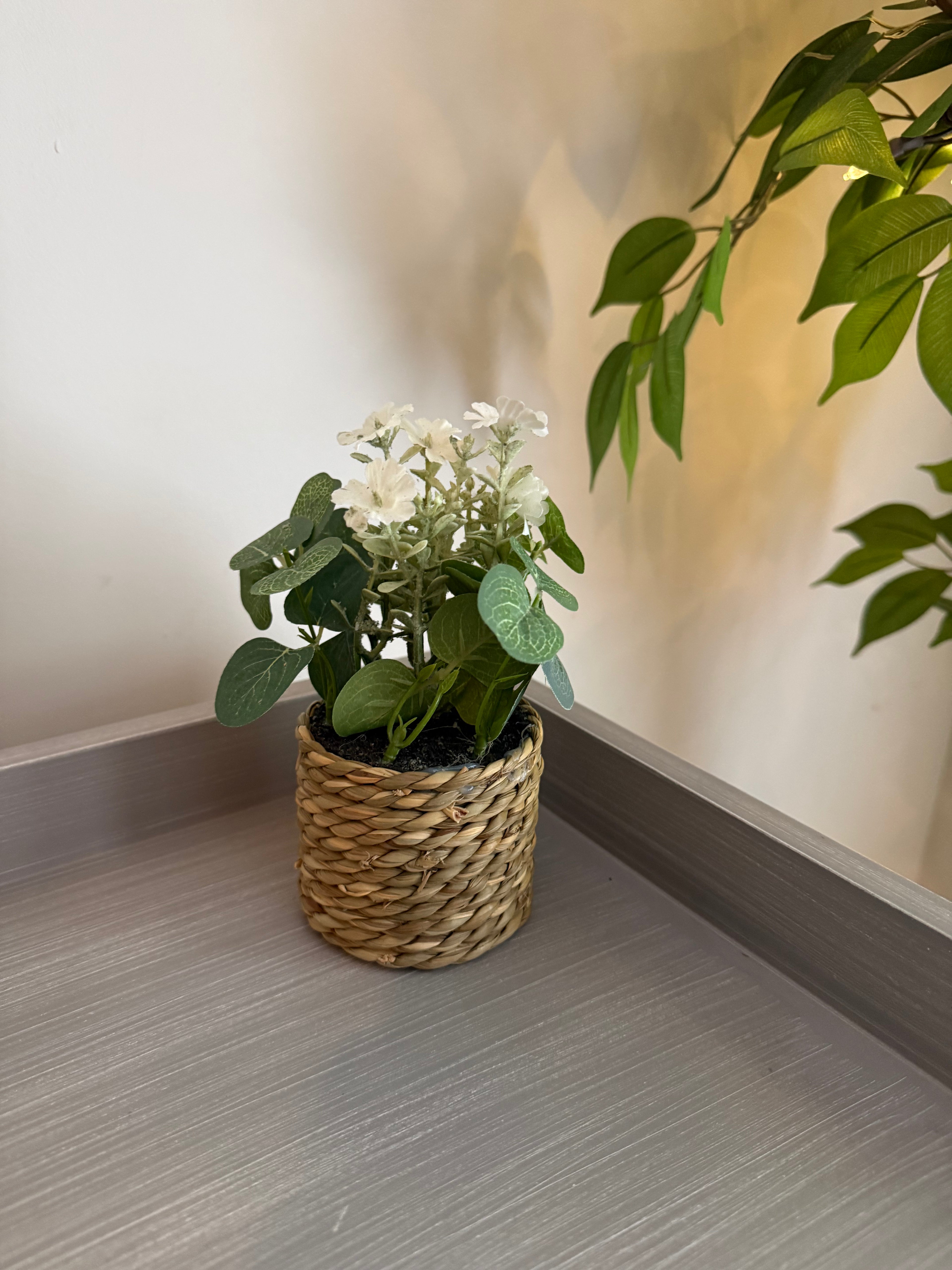 Artificial Eucalyptus Plants