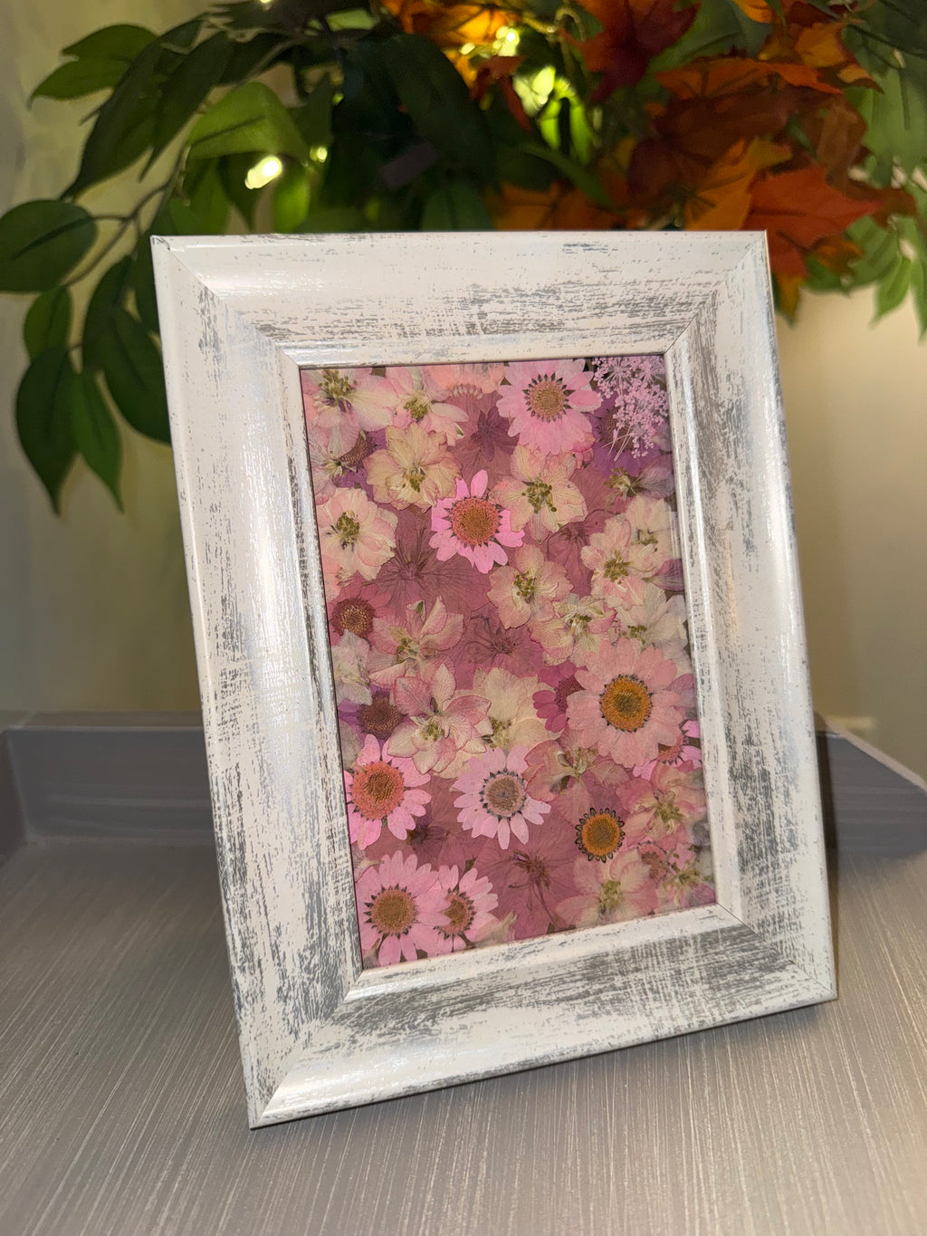 Pink Petals