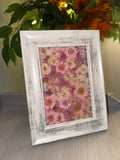 Pink Petals