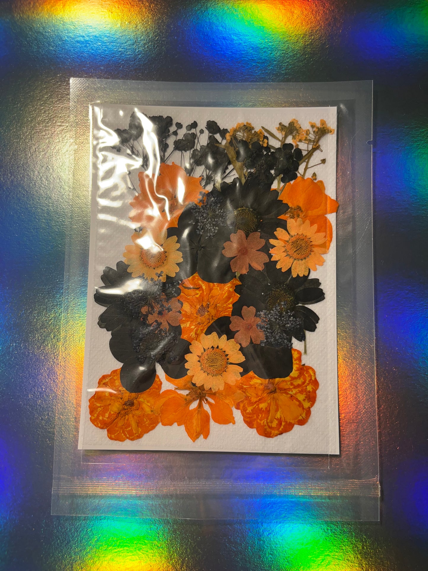 Pressed and Dried Flowers