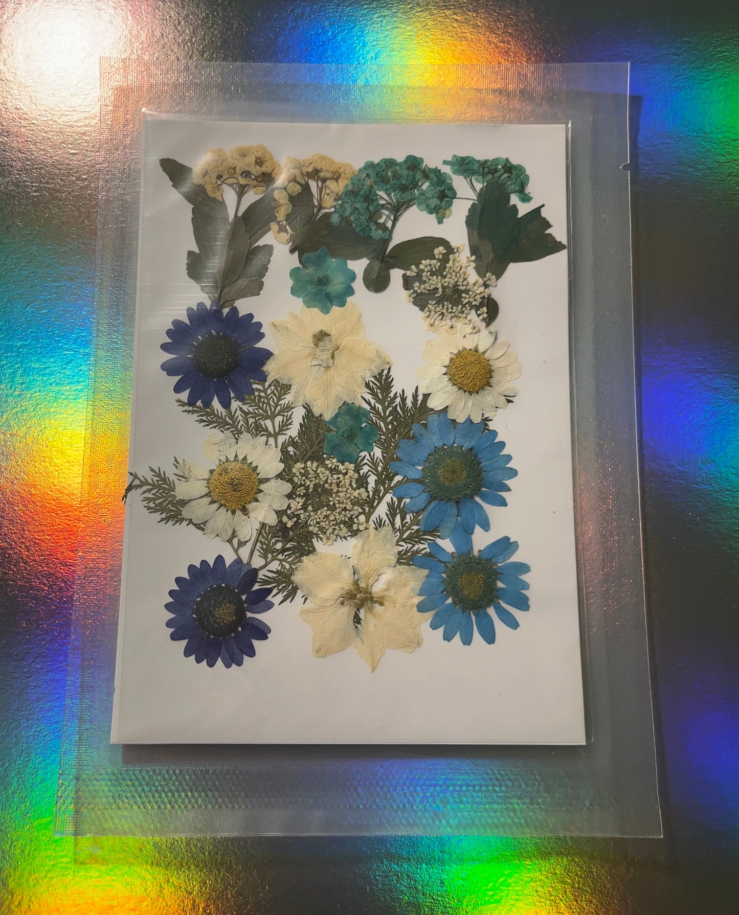 Pressed and Dried Flowers