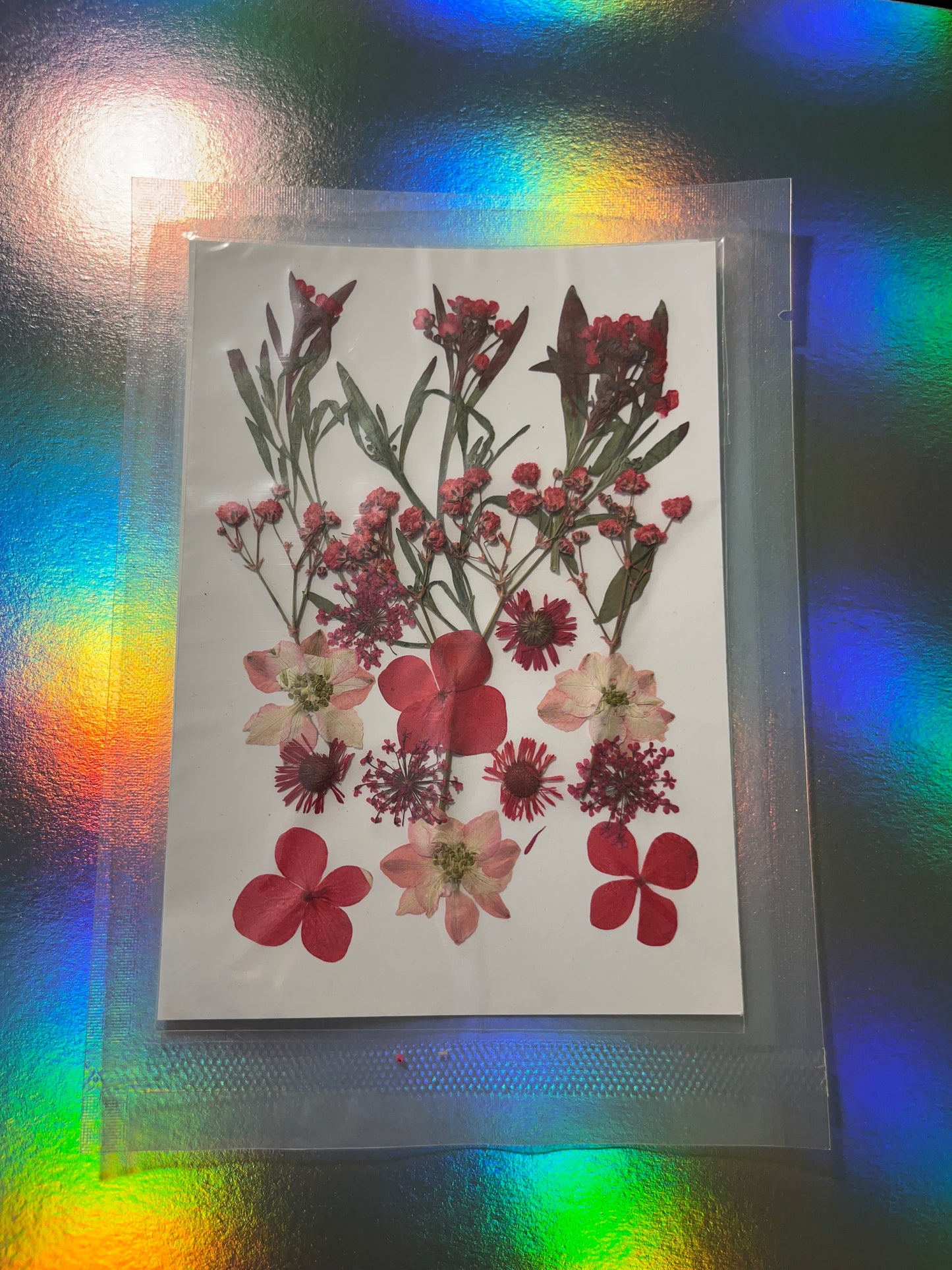 Pressed and Dried Flowers