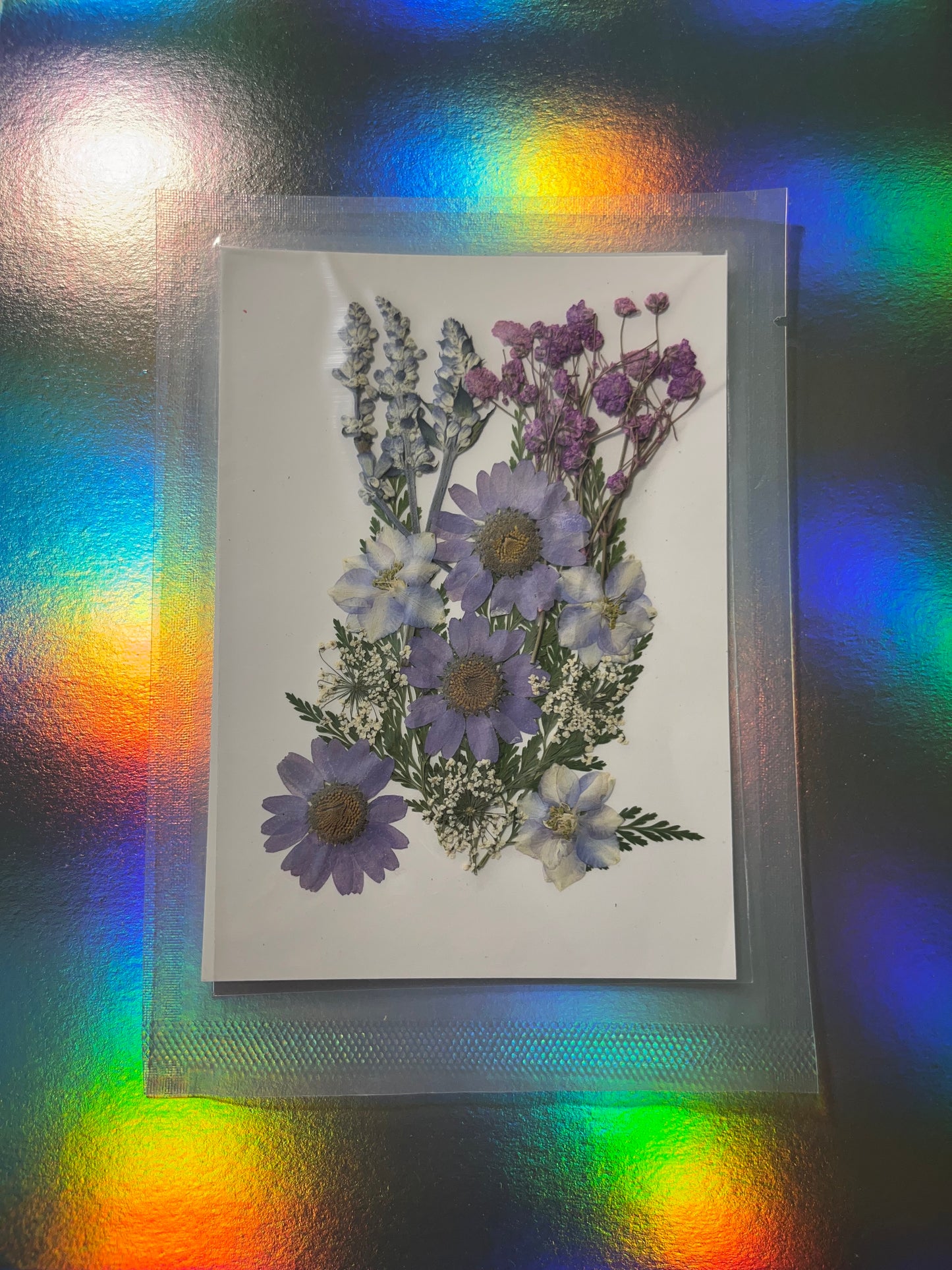 Pressed and Dried Flowers