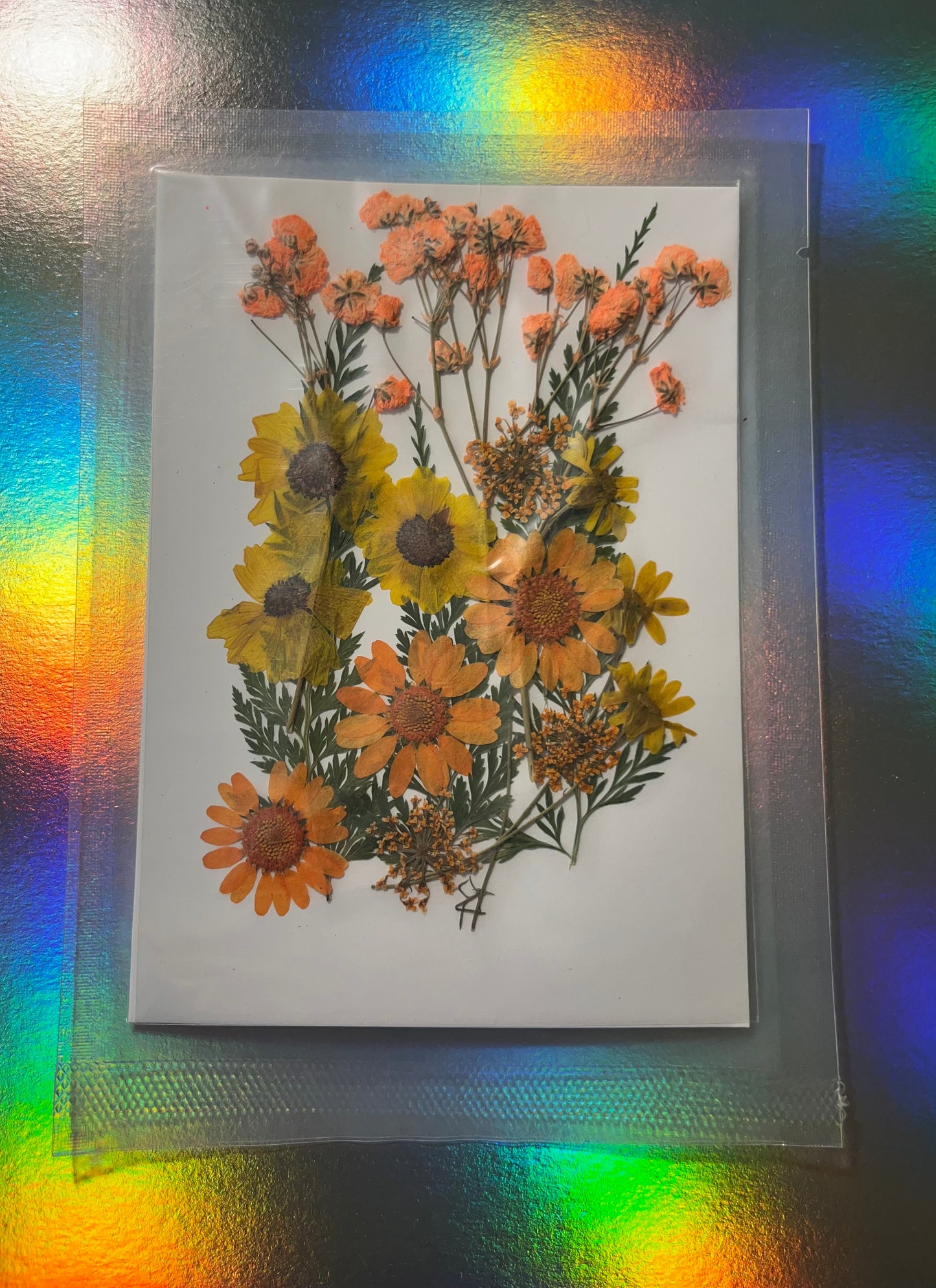 Pressed and Dried Flowers