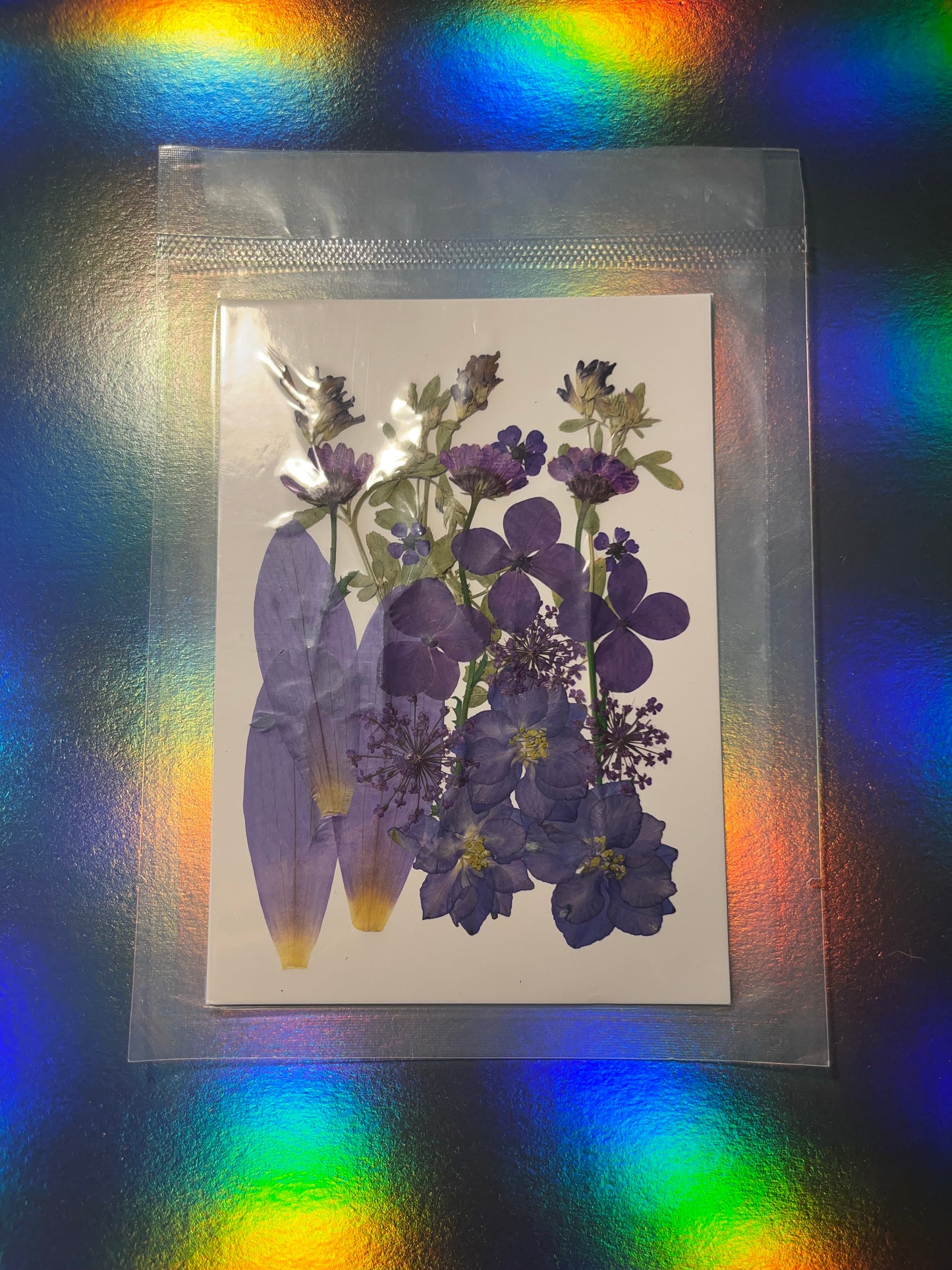 Pressed and Dried Flowers