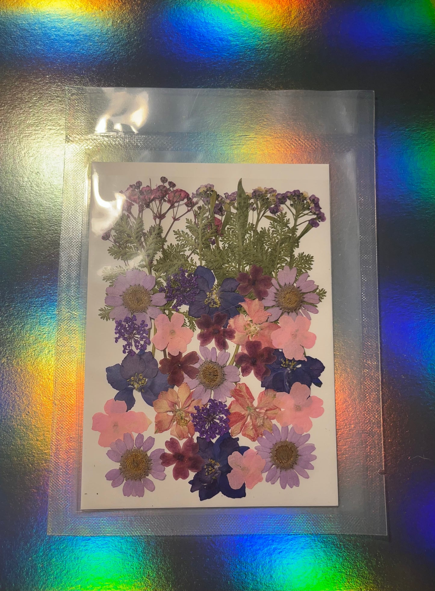 Pressed and Dried Flowers