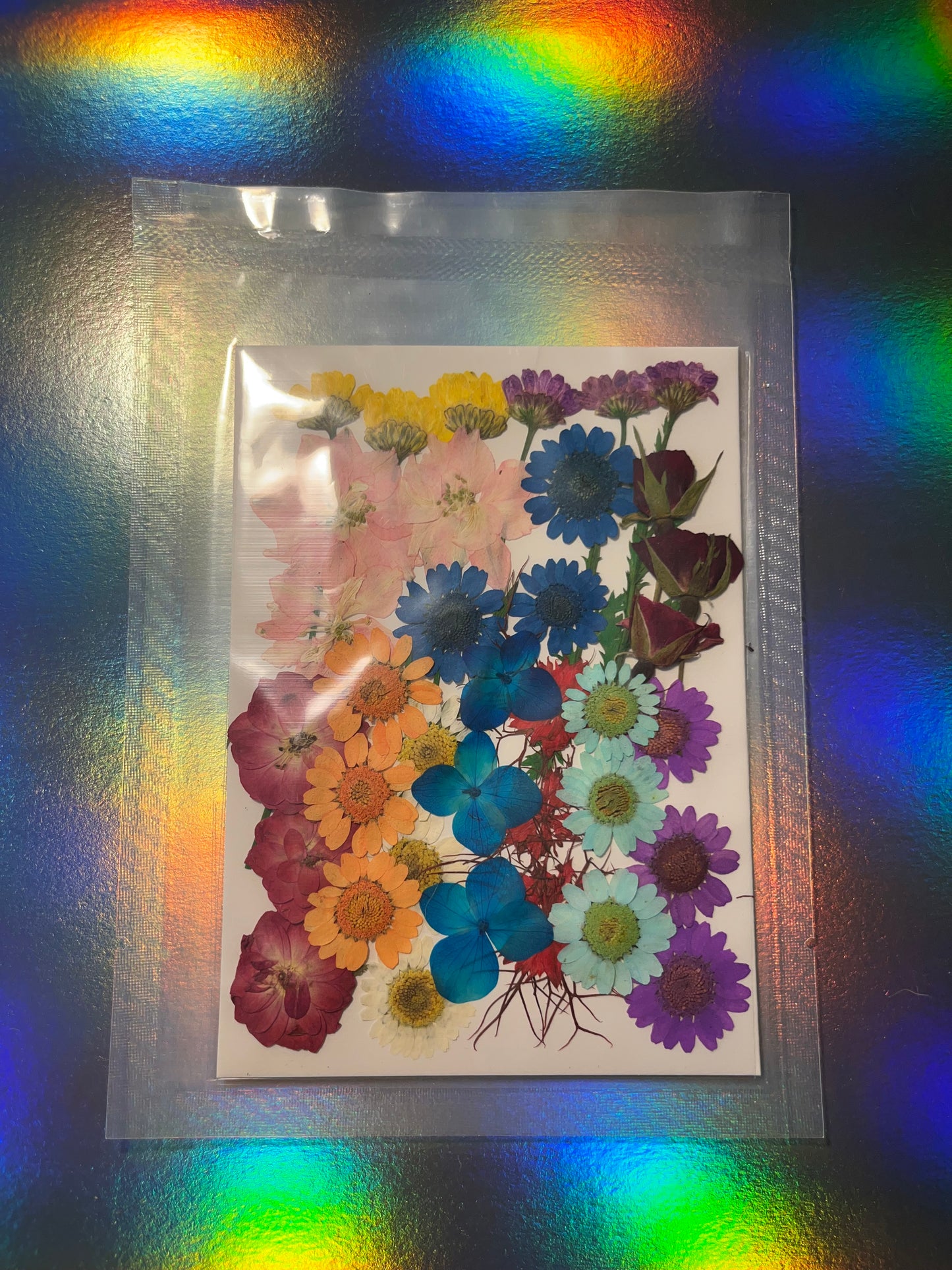 Pressed and Dried Flowers