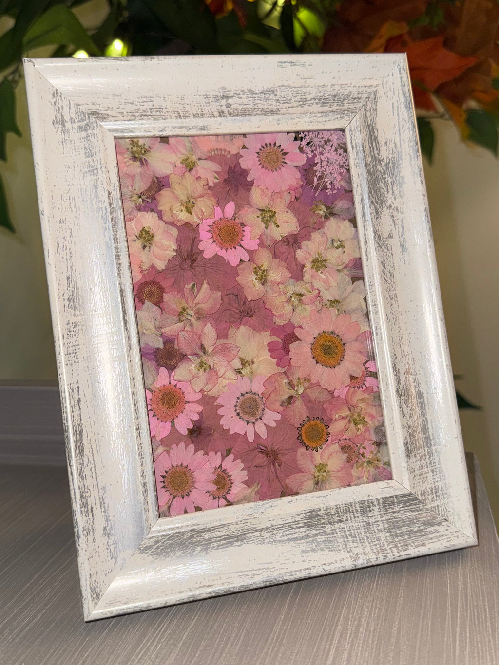 Pink Petals