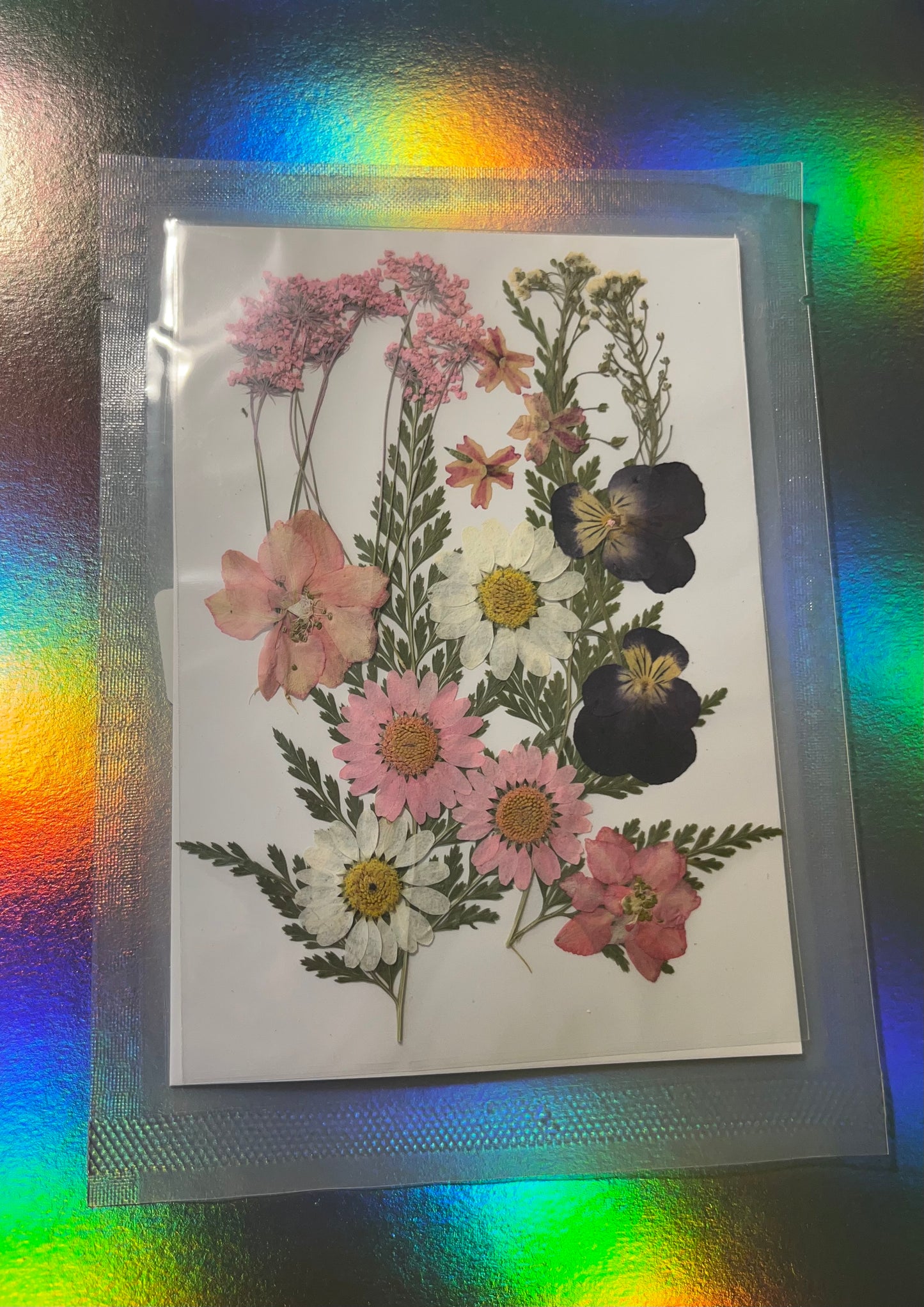 Pressed and Dried Flowers