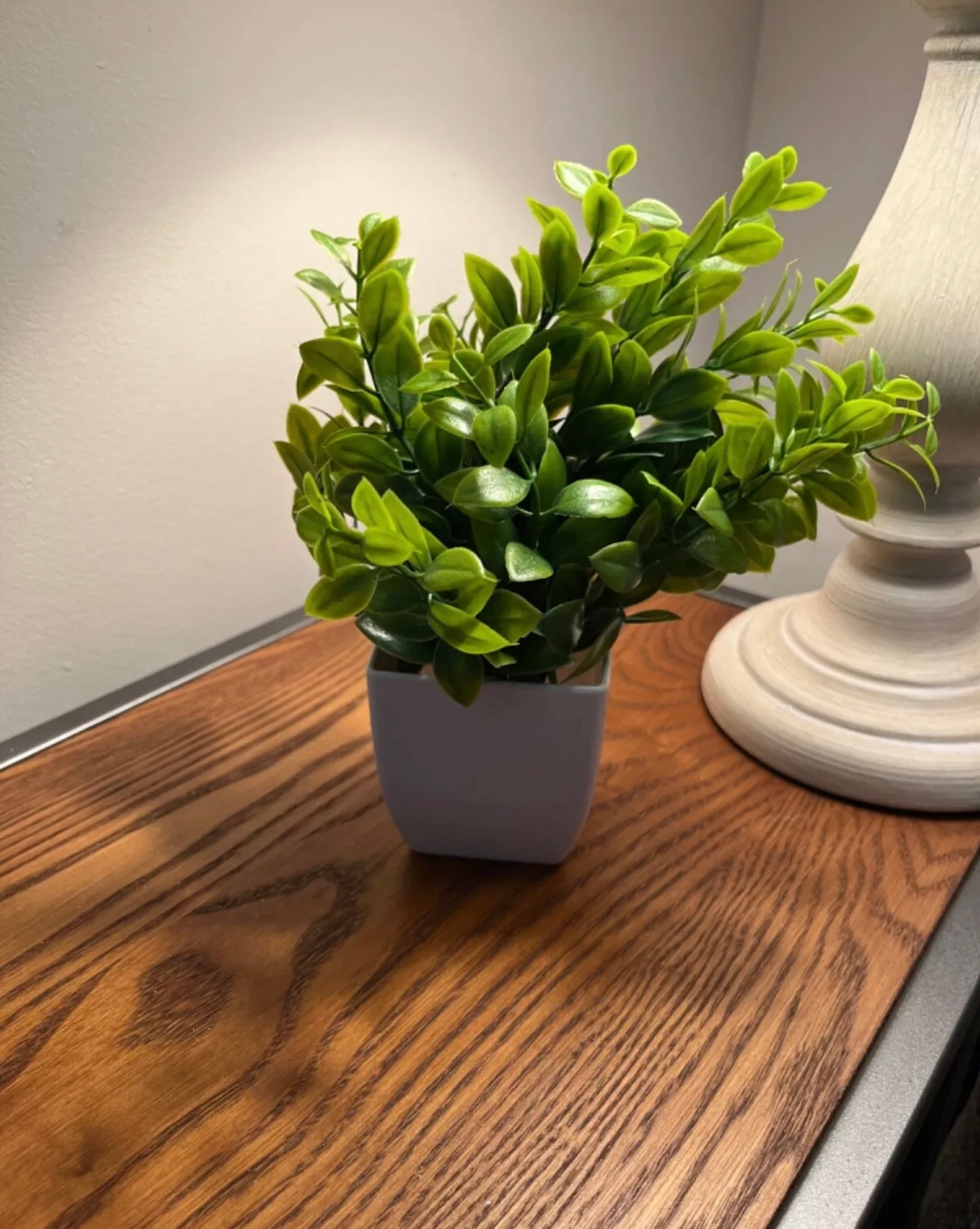 smooth oval leaf artificial plant