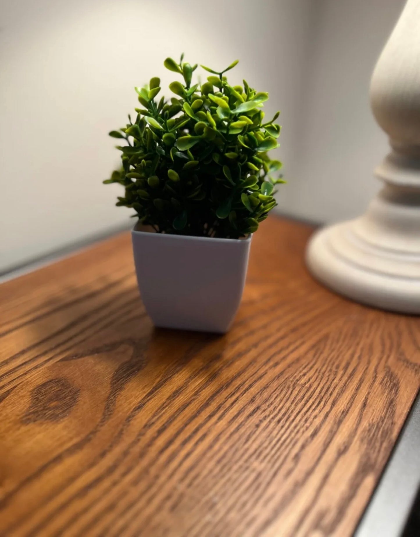 small and trimmed artificial plant 